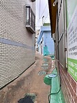 IMG_0531
