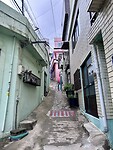 IMG_0530