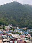 IMG_9979