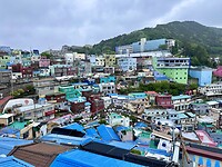 IMG_0527
