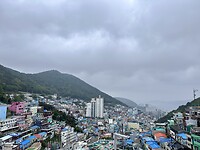 IMG_0526