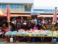 IMG_9953