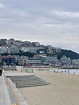 IMG_0608