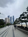 IMG_0603