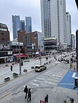 IMG_0594
