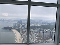 IMG_0559