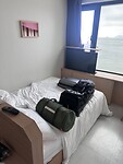 IMG_0554