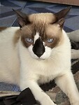IMG_0658