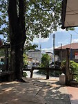 IMG_0862