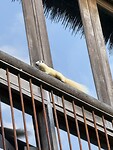 IMG_0908