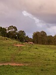 IMG_1089