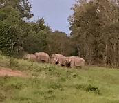 IMG_1083