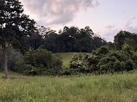 IMG_1081