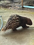 IMG_1068