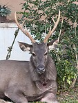 IMG_1044