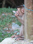 IMG_0837