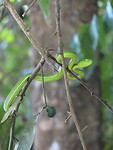 IMG_0836
