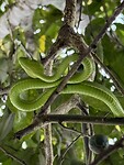 IMG_1214