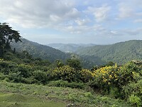 IMG_1200