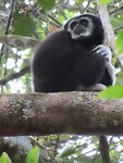 IMG_0756