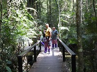 IMG_1185