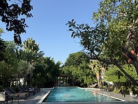 IMG_1253