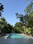 IMG_1251