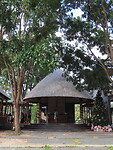 IMG_0868