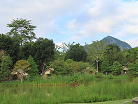 IMG_0861