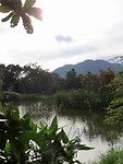 IMG_0851