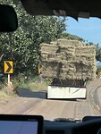 IMG_1235