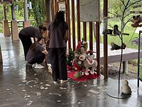 IMG_1231