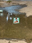 IMG_1276