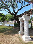 IMG_0900