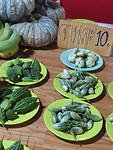 IMG_0895