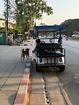 IMG_1294