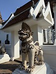IMG_1293