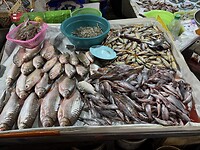 IMG_1290