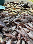 IMG_1289