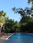 IMG_0887