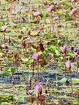 IMG_0878