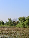 IMG_0875