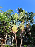IMG_0870