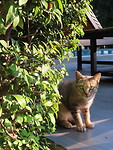IMG_0869