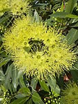 IMG_1285