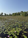 IMG_1284