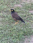 IMG_7124