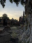 IMG_1375