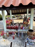IMG_1358
