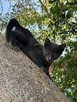 IMG_1307